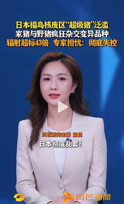 日本，近日福岛核废区传出噩耗：一种杂交野猪疯狂繁殖，数量已突破10万头。更可怕的