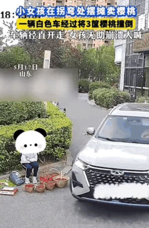 这司机是眼瞎吗？三筐樱桃被碾碎后，车子扬长而去，小女孩哭声撕心裂肺！5月17日