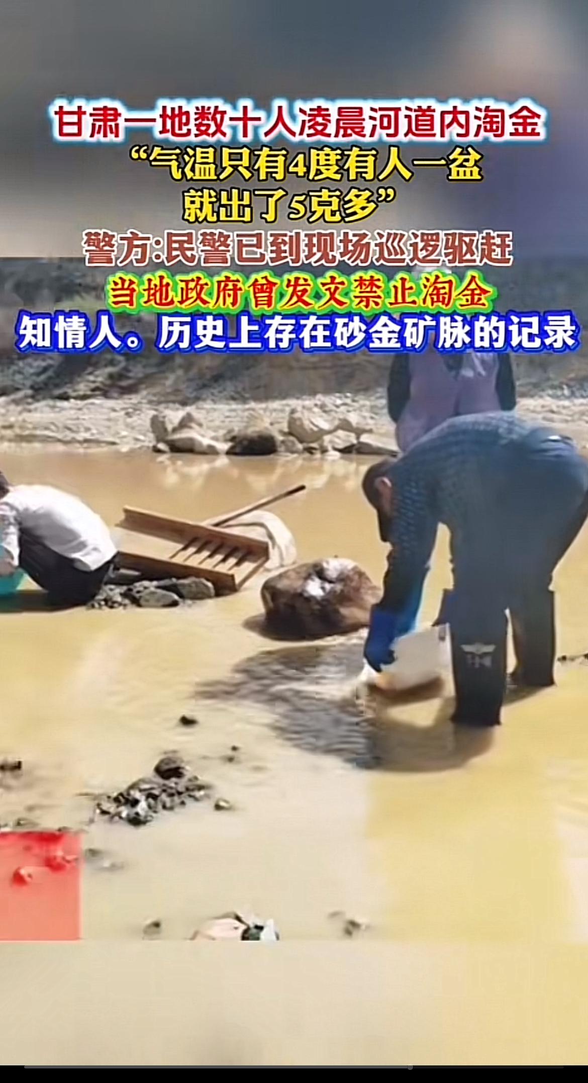 最近甘肃陇南康县的淘金事件挺火。11月2日网友发视频，凌晨1点气温4℃，河里全是