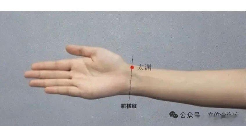 补脾力量很强的一个穴位，不花一分钱，把脾胃的底子养回来原创作者：福气满满现在的