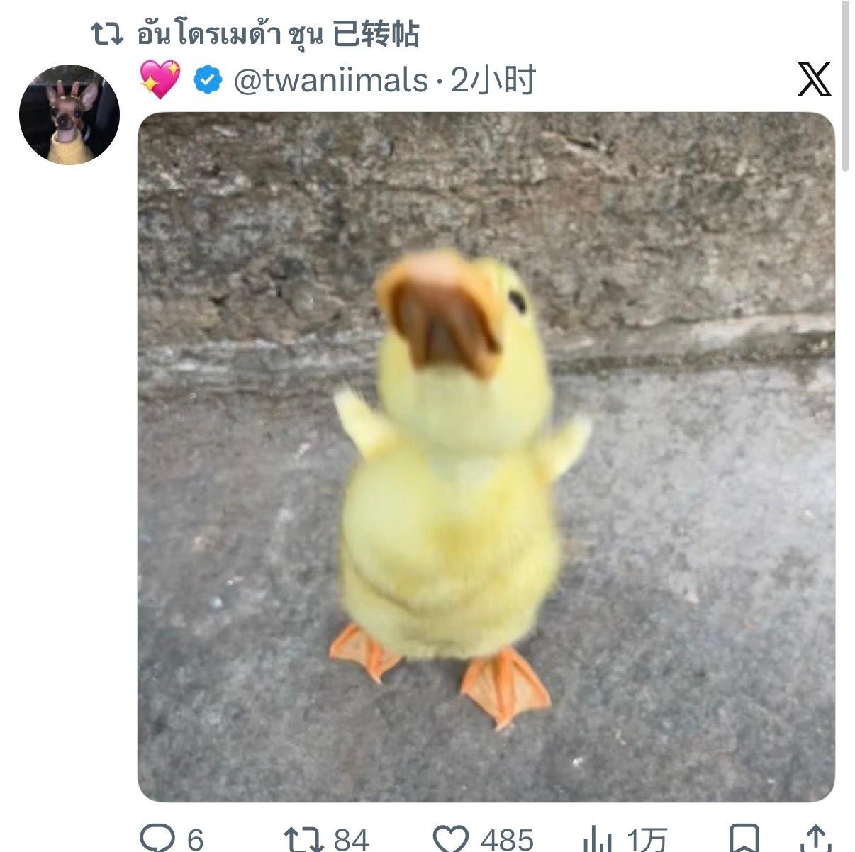 又开始了一些莫名其妙奇奇怪怪神神经经的转帖｜20260604zac转帖