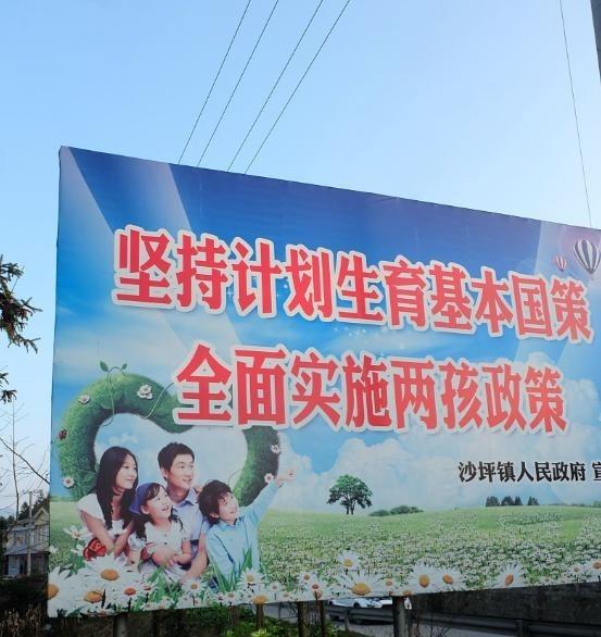 打脸了吗？2015年，二胎政策推出，权威专家翟振武教授预测，开放二胎后，未来四五