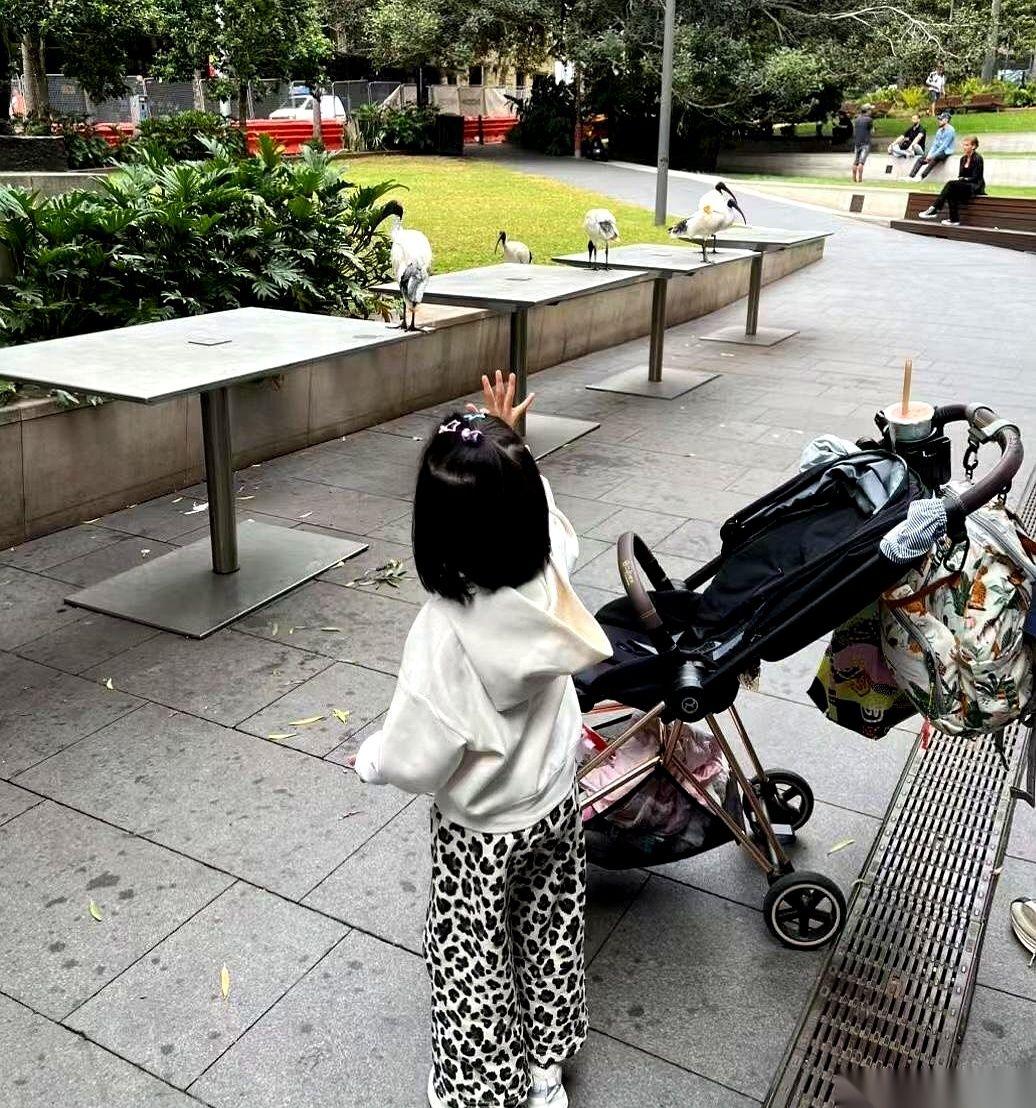 表姐这一手“断舍离”，玩得是真绝，但也真把自己后路给堵死了。儿子刚办完喜酒，她