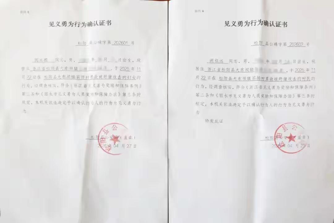 野猪袭人，两位老人舍命冲上去救人，一人重伤！见义勇为认定，暖了普通人的心“要