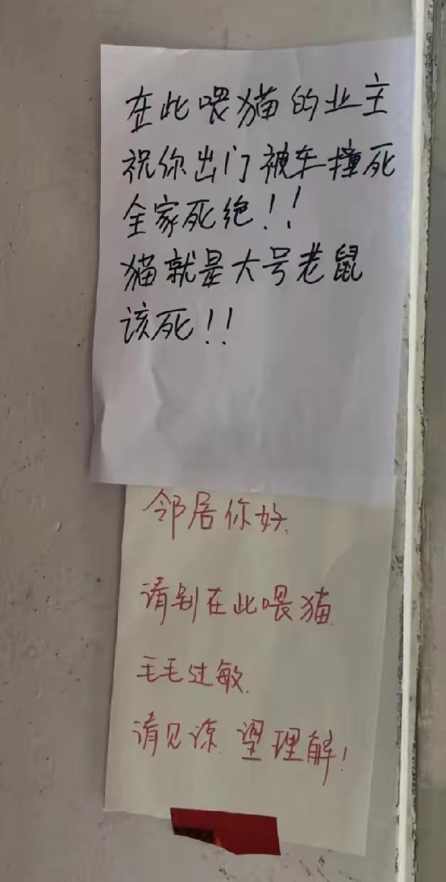 我真不明白一只流浪猫能🈶什么危害，文明社会的人们不该如此憎恨猫咪的。[微笑]