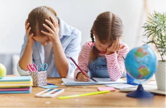 教育家说：“永远别要求一个几岁、十几岁的孩子靠自己去持续、勤奋地学习。一个优秀孩