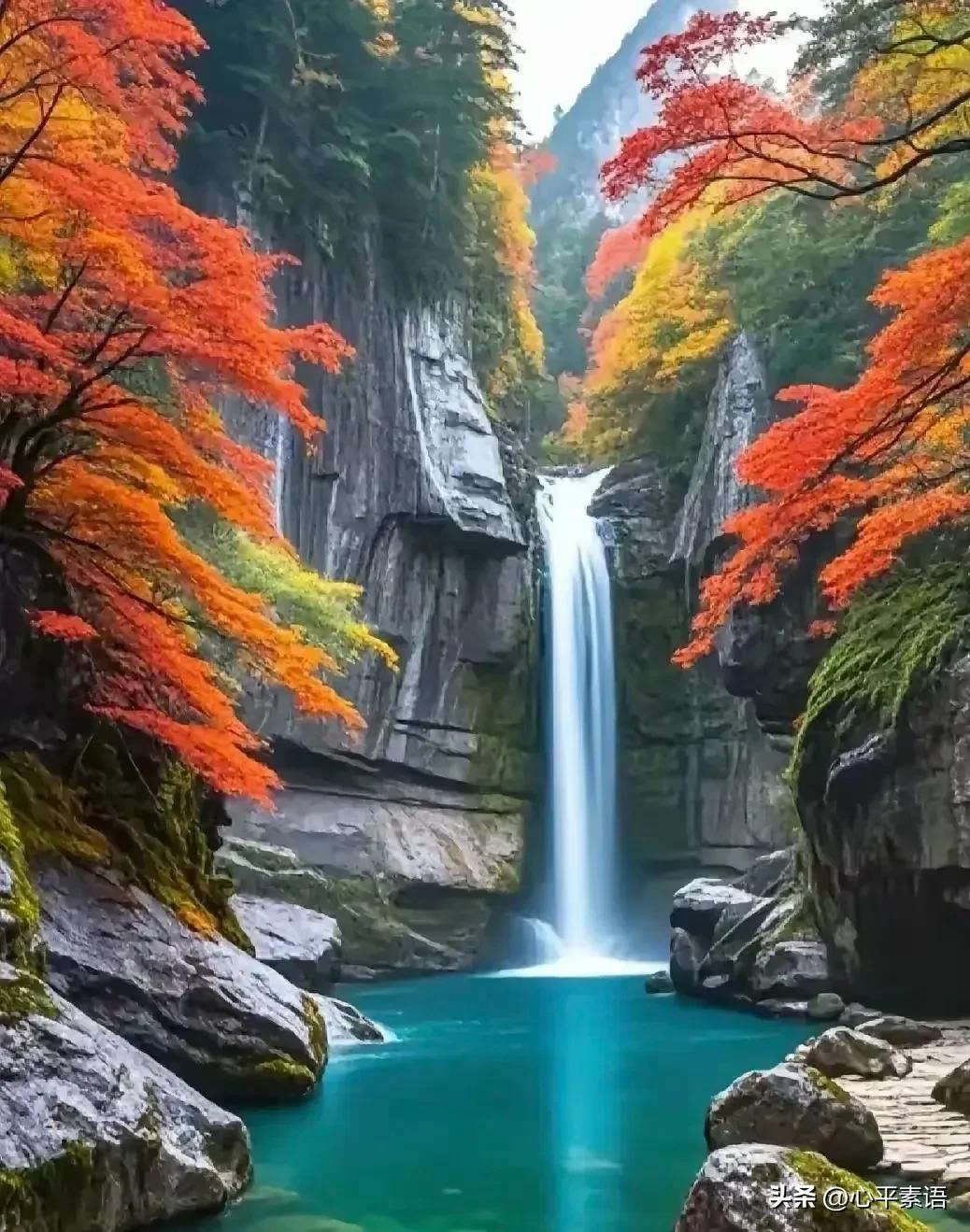 一个人最大的愚蠢就是:1.心善2.心软3.为别人着想4.委屈自己5.