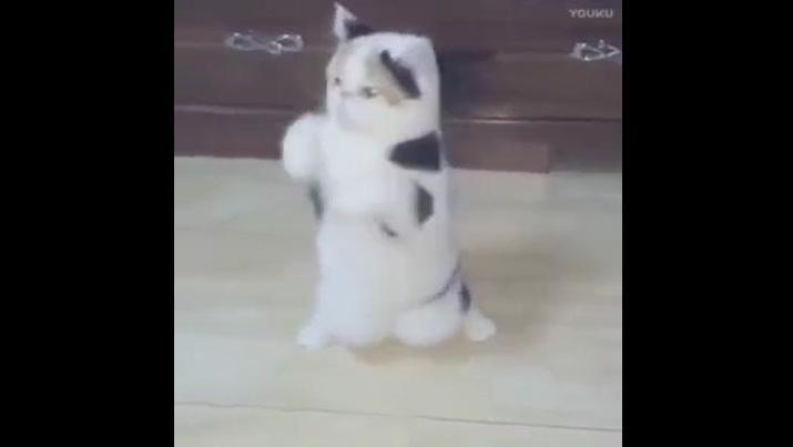 最牛的视频_最牛B视频 –