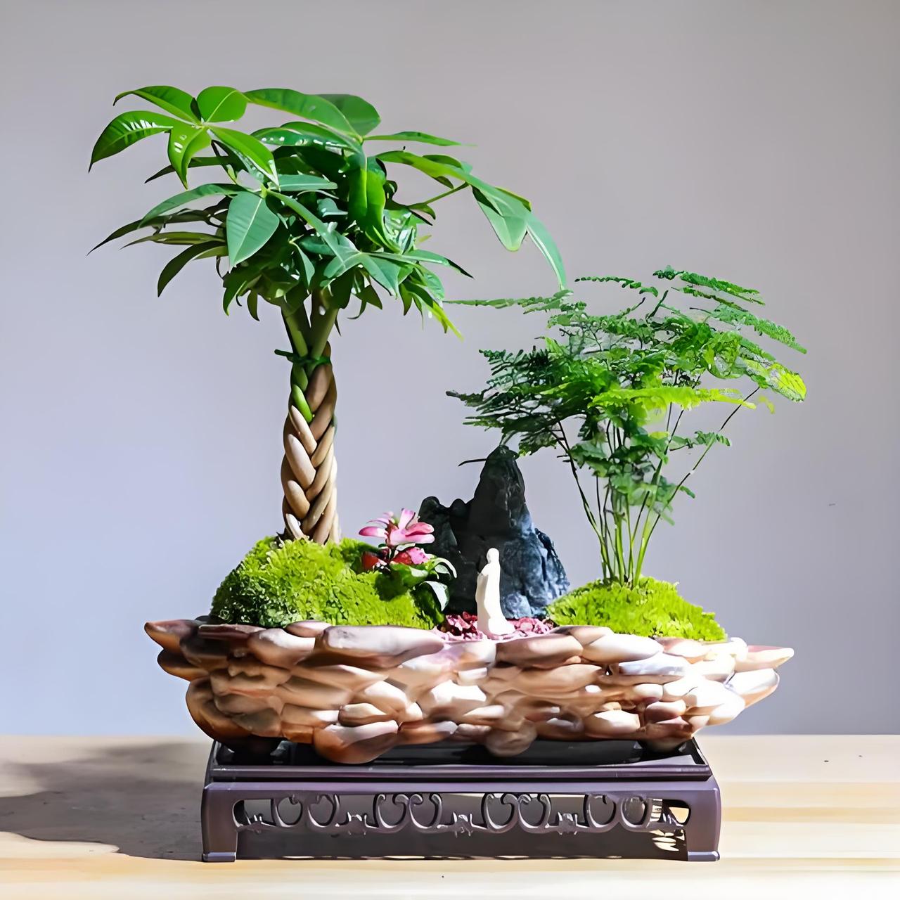 年后绿植新趋势：把微缩园林搬回家，精致生活藏方寸年后居家绿植迎来旺季，从做电商