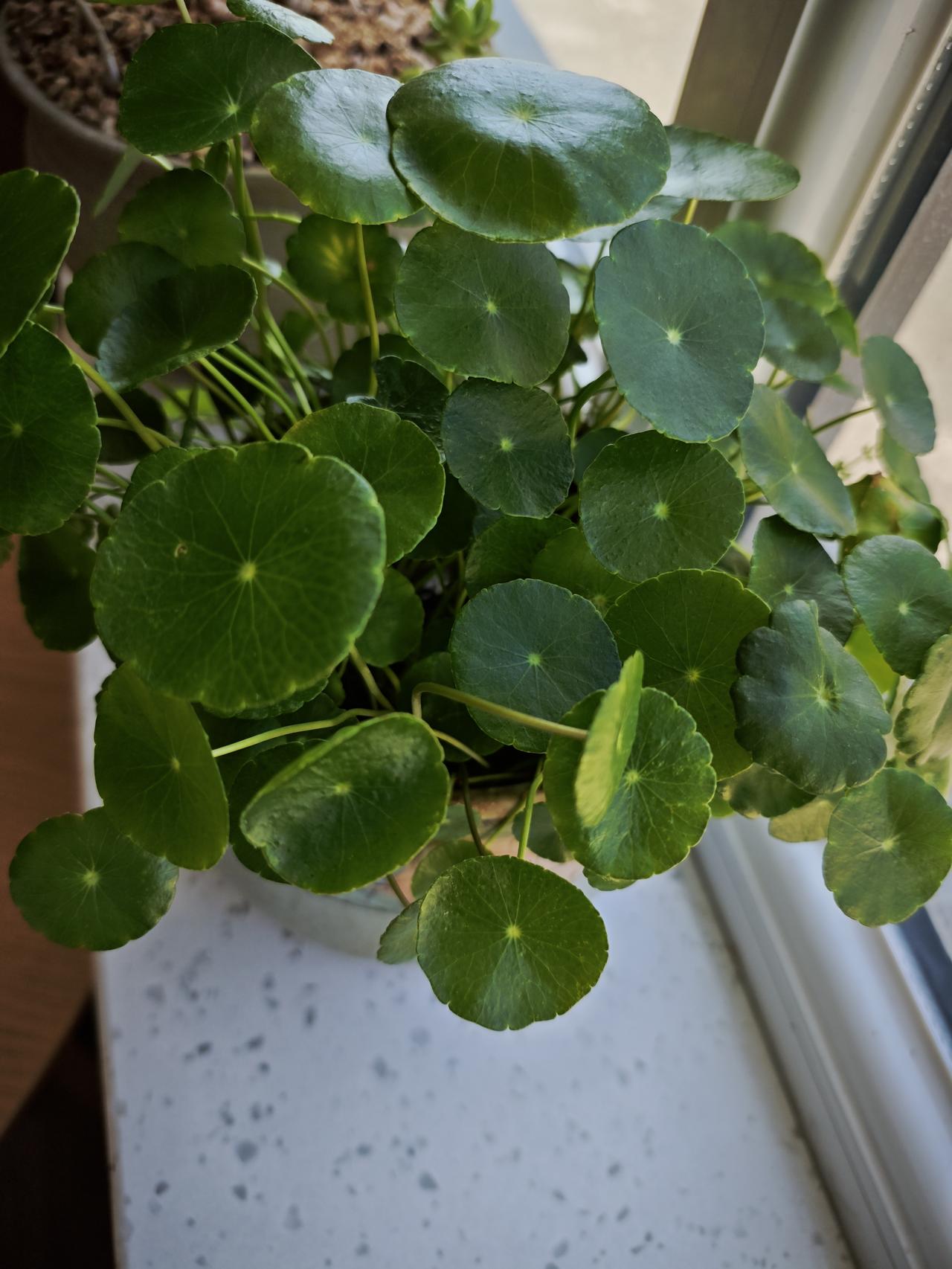 老爸打电话说堂哥家的侄子被警察抓走了，我说抓走了也好，这样哥哥嫂子就不用伺候生活