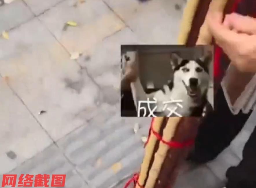 有男子路上看到位大妈在卖木棍，男子便上前打听什么价格，因为在男子眼里看到了自己喜