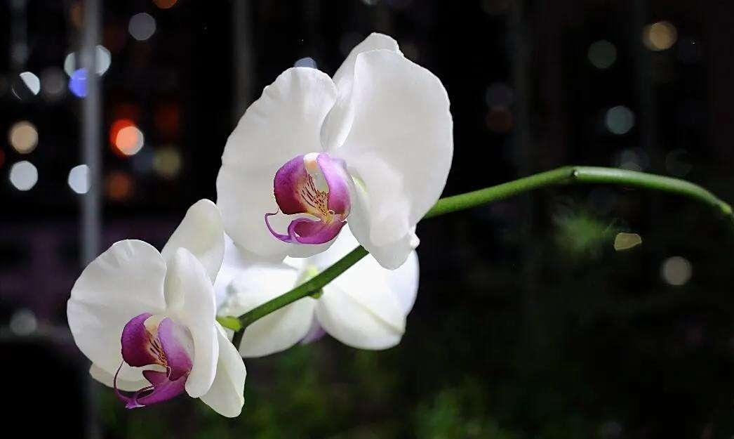 你知道你的老婆为什么不尊重你吗？今天呢，告诉你一个残酷的真相：一个女人是否尊