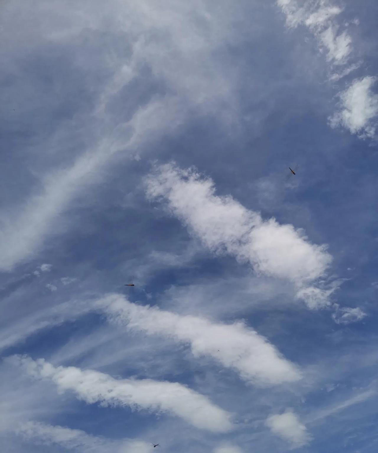 我们现在旅游就是一车俩人，就是我们两口子玩，不带别人玩。孩子从上初中开始就不跟