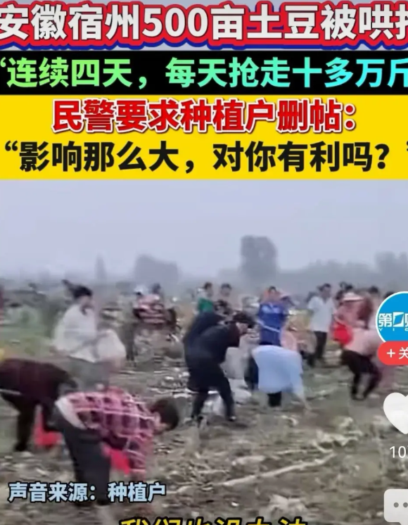 100万斤土豆被哄抢，2万亩西瓜被哄抢。其它不论，其实就是人心太坏，个个都想占便