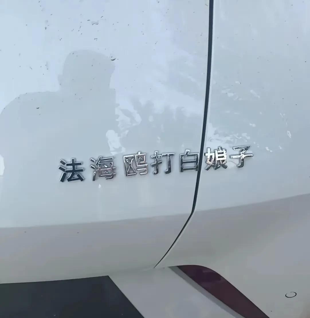 轻松一刻：真是人才济济，你还能想到其它什么吗？