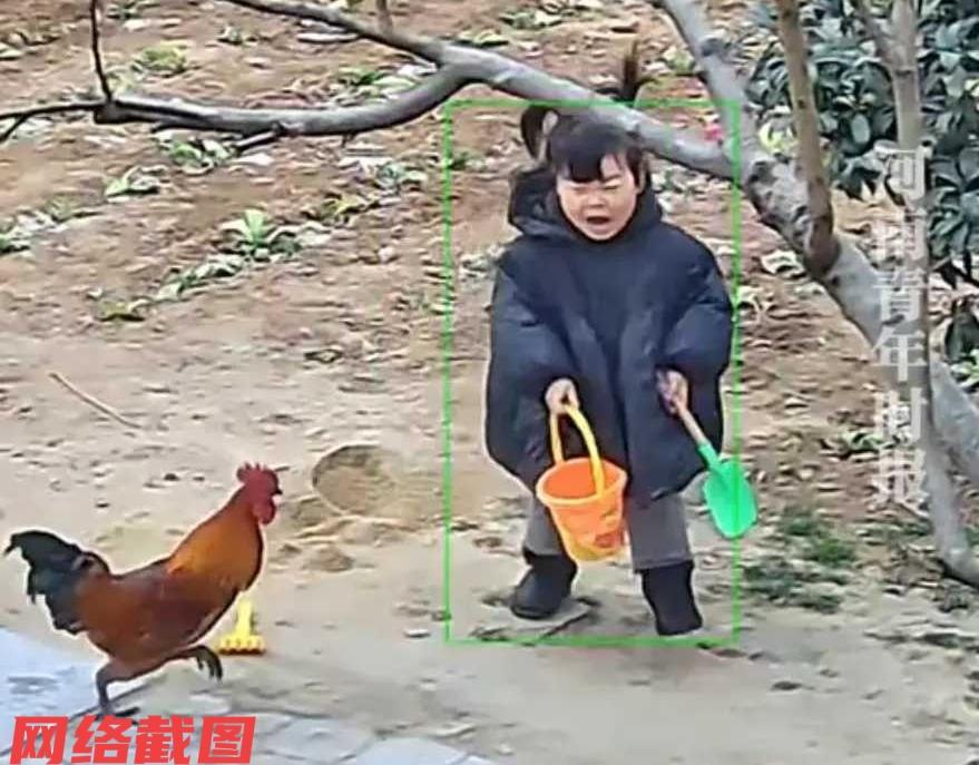 江苏宿迁有女童正在院中独自玩耍。只不过院落里突然有一只公鸡，不知怎么冲过来将