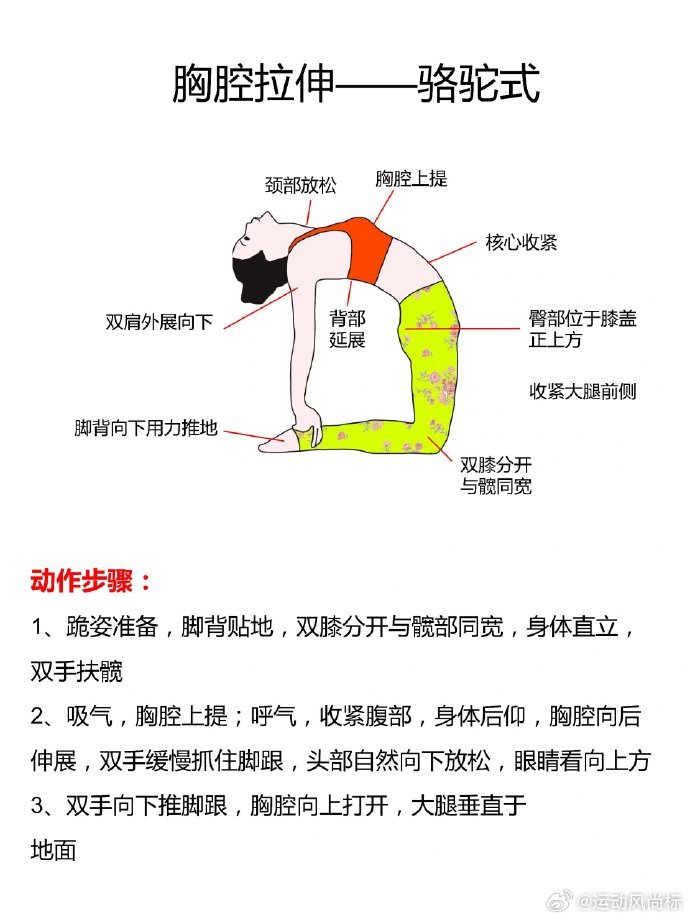 就这个拉伸👆🏻你永远可以相信人民日报每天每个动作练习3-5组，每组保持3个呼