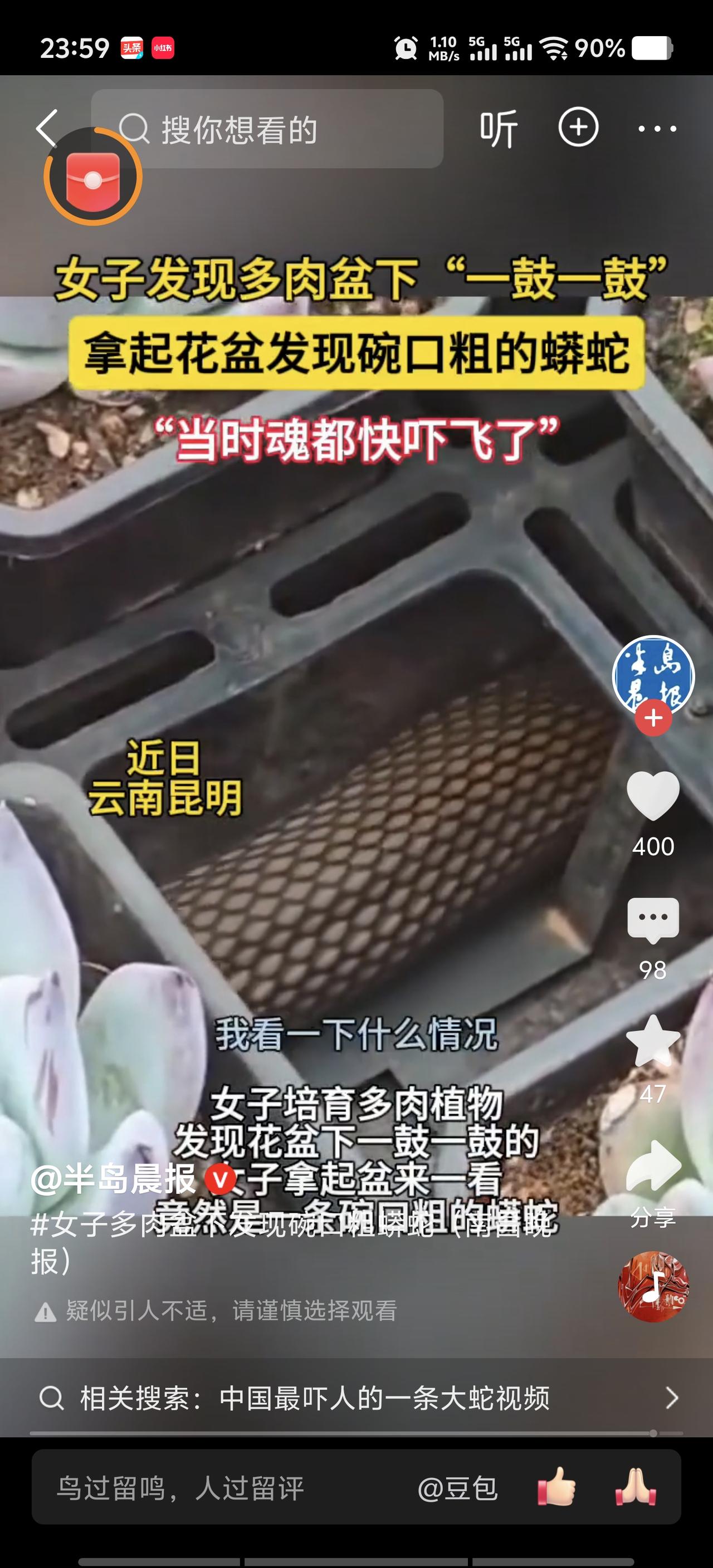 天呐，女子在多肉盆下发现碗口粗蟒蛇，想想就刺激！这蟒蛇得有多大威慑力啊，碗口粗的
