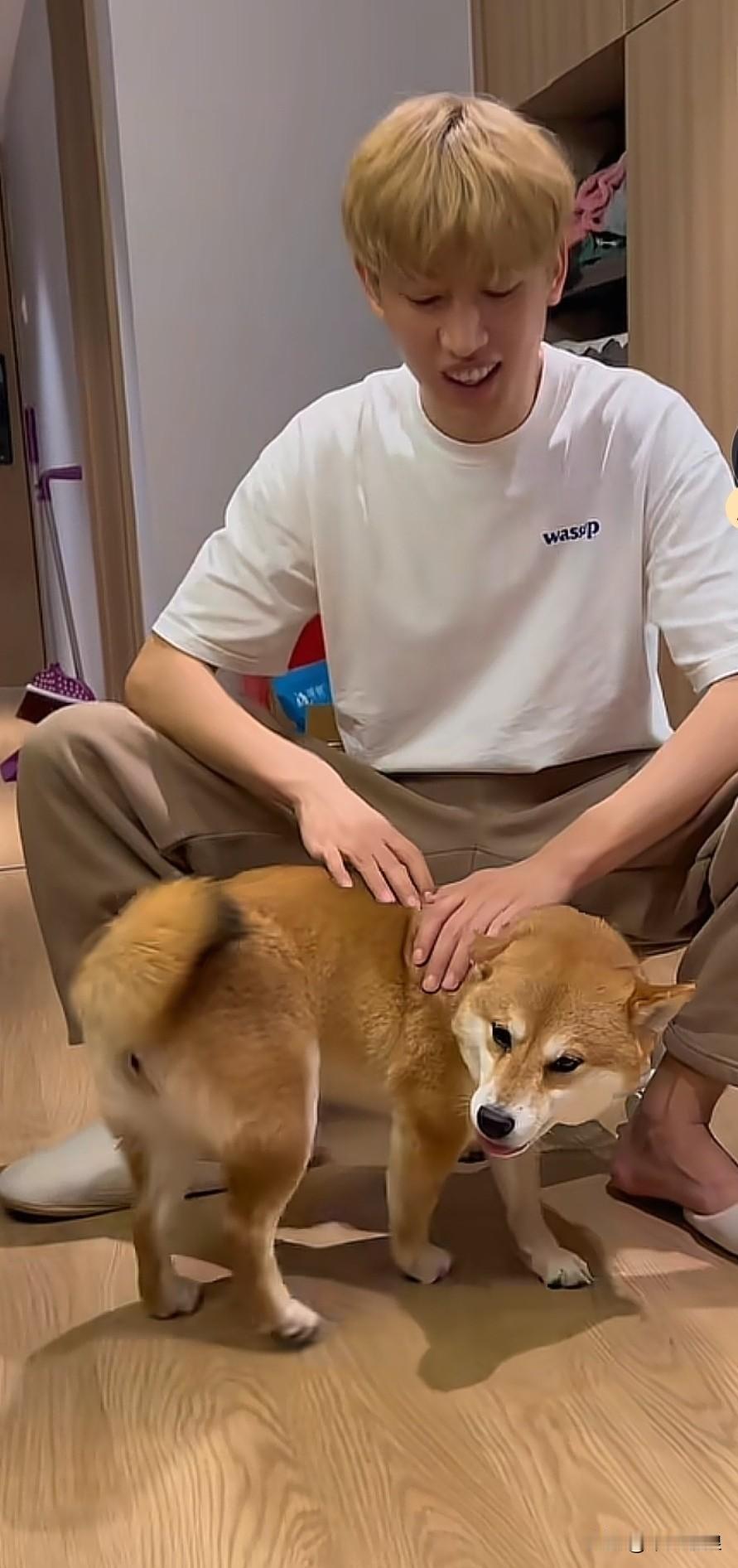 狗狗患上了一种不治之症，所剩时日已然无多。痛苦不仅在狗狗身上蔓延，更深深刺痛了主