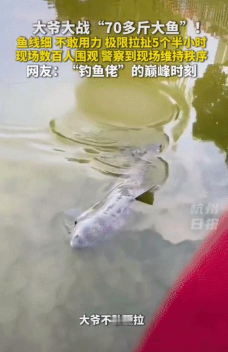 “太夸张了！”贵州遵义，一位大爷原本只是坐在水边安静钓鱼，没想到一竿下去，竟碰上