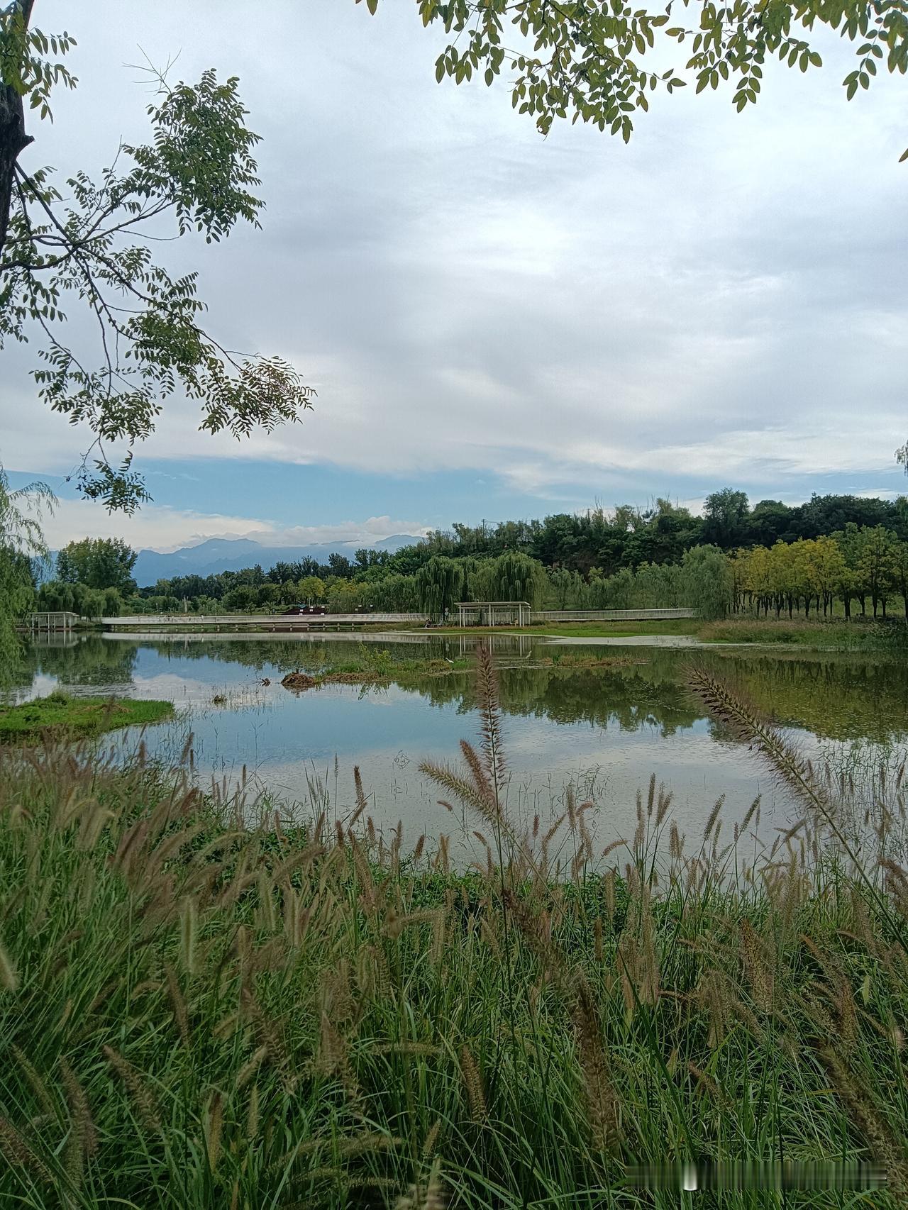 星期六，西安没风也没雨，阴晴变幻的天气很适合出游。我坐着地铁2号线一路往南走，走