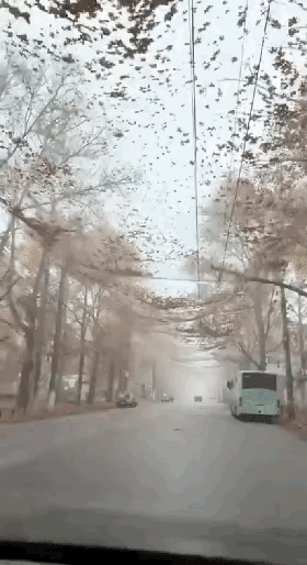 突发奇想，用渔网反无人机！乌克兰赫尔松居民的天就被这渔网给罩住了，一抬头看见渔