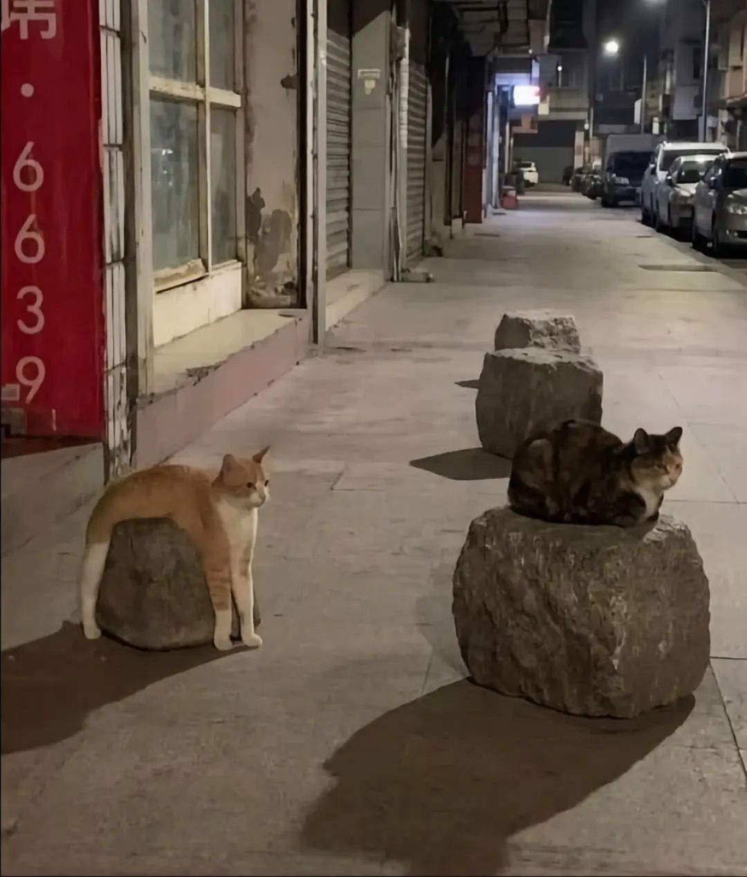 哈哈哈哈哈哈哈哈笑死了这个姿势