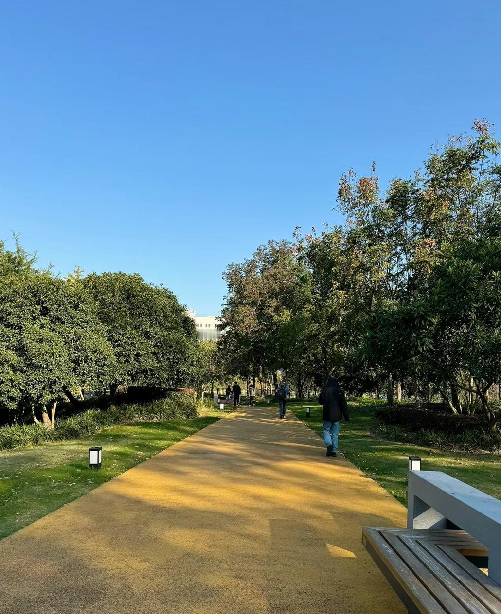 怪不得大龄剩女越来越多！侄女今天去参加一个相亲会，里面来了30多个女孩，