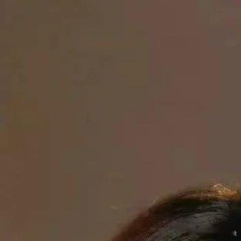 《狙击蝴蝶》大结局把刀递到我嗓子眼。82岁的李雾在妻子岑矜93岁走后没几天，悄悄