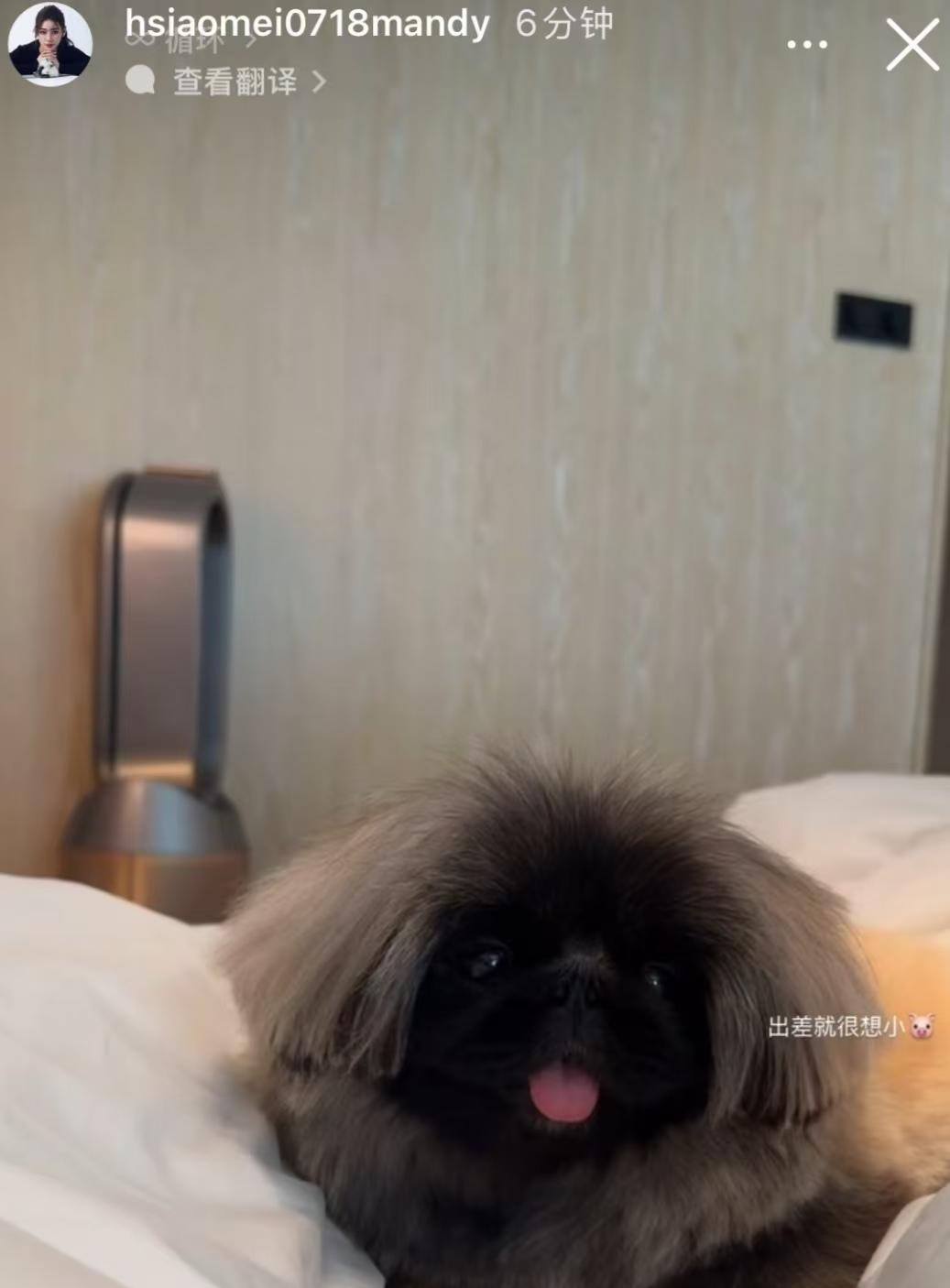 第一次发现马筱梅真的很可怕！不是因为她从小美到大，微笑唇更是标志性的存在；也不