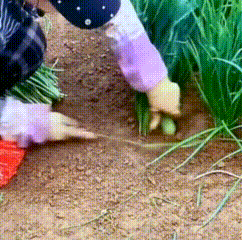 根除幽门螺旋杆菌预防胃癌不知道你有没有发现，不定时就有热搜给你贩卖“幽门螺旋杆