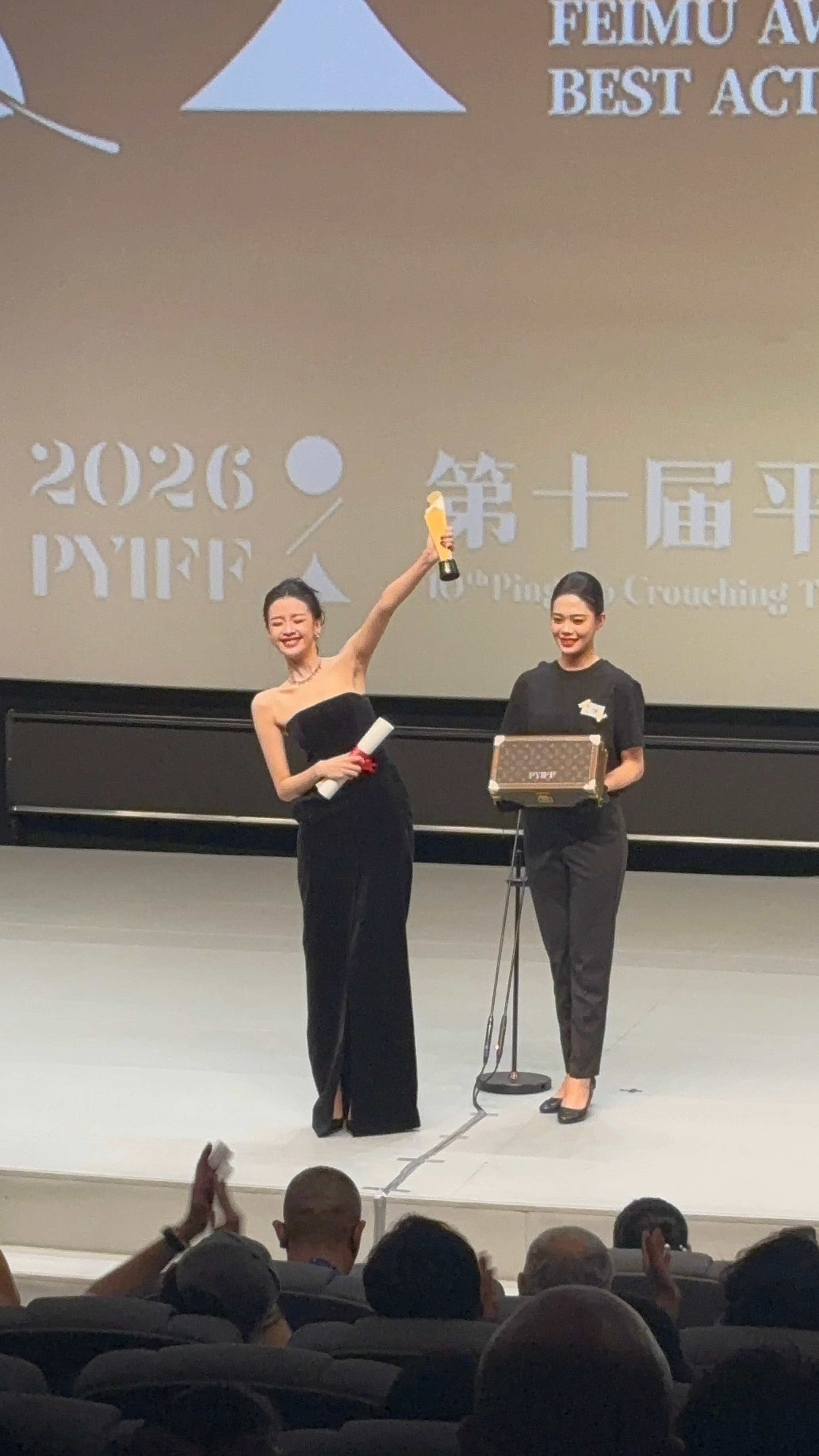 第十届平遥国际电影展平遥电影展荣誉名单「费穆荣誉」最佳女演员：孙怡《爱情笑话》