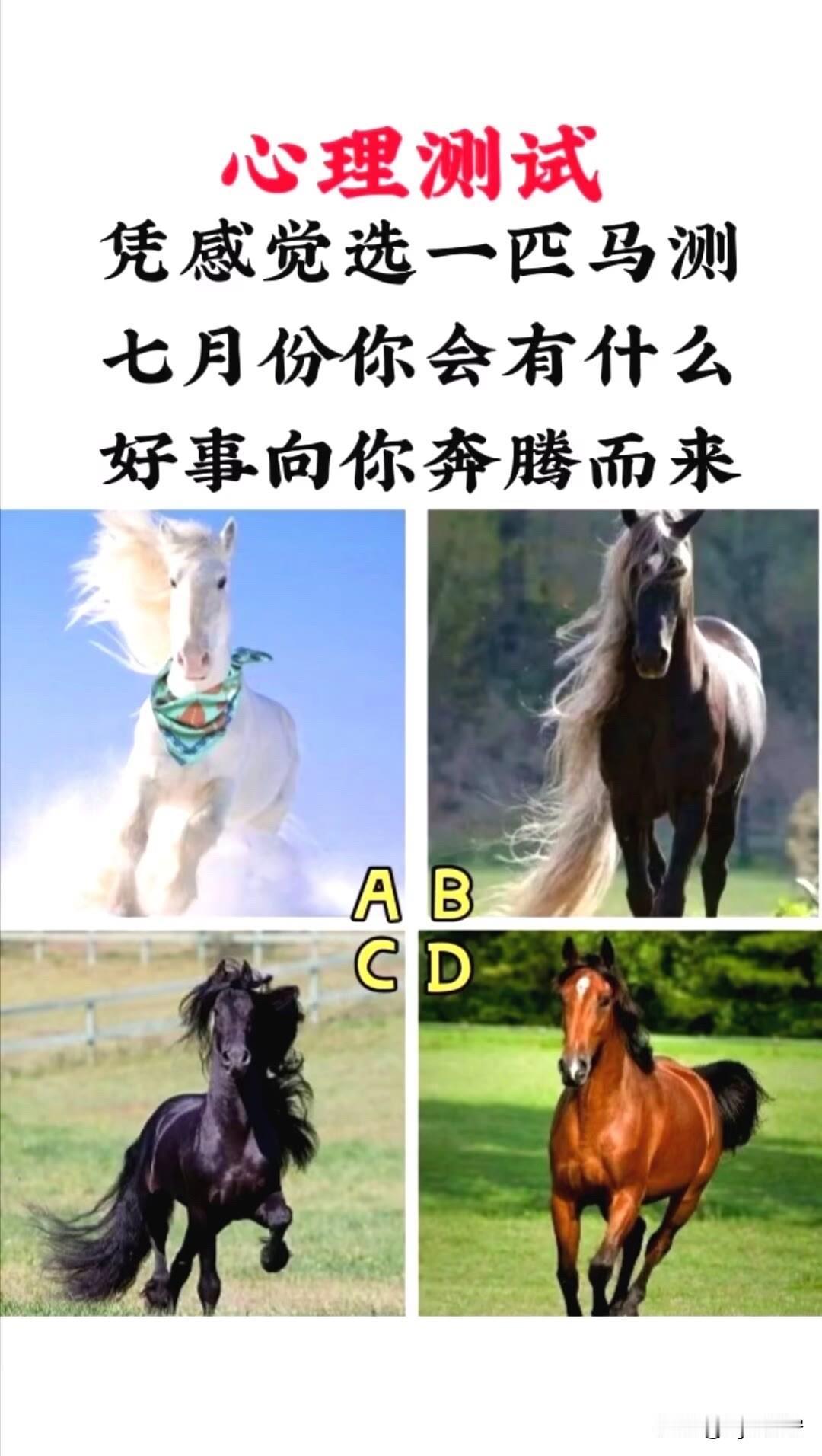 凭感觉选一匹马测七月份你会有什么好事向你奔腾而来
