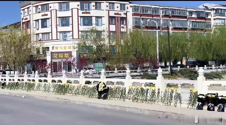 3月30日深夜，河北石家庄晋州市石津总干渠发生一起惨剧。一名女子不慎落水，三名路