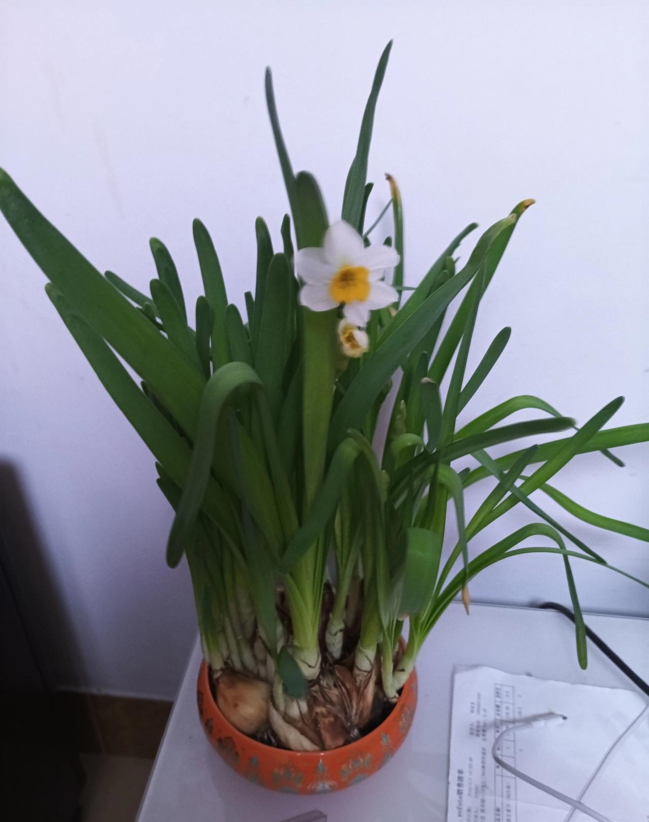 人到中年才懂：古人的顶级智慧，全在这8句活法里随着年龄阅历不断增长，越读史