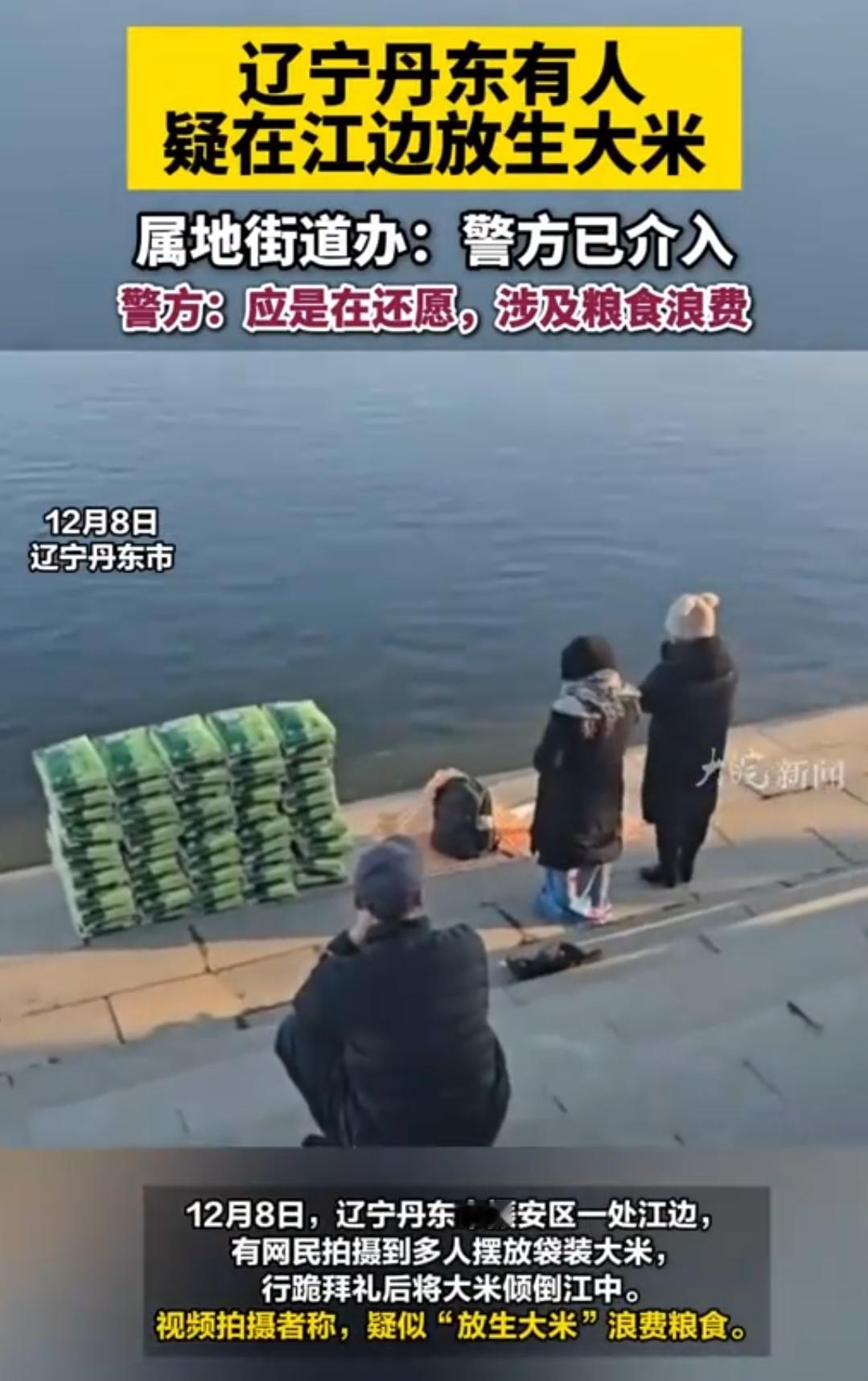 疯了？往江里倒大米叫“放生”？这简直是行为艺术界的泥石流！这压根不是行善，是