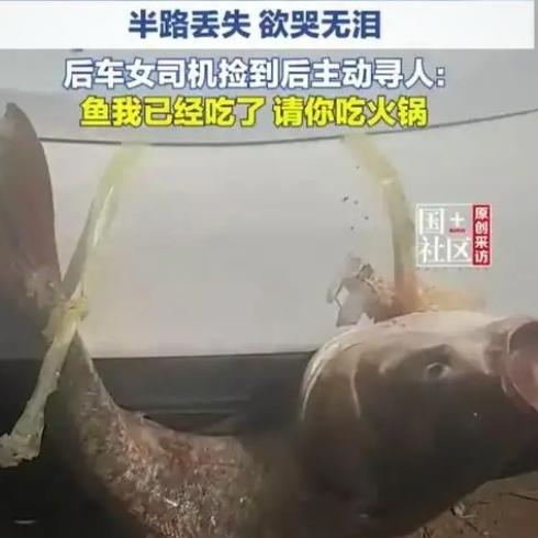 重庆男子钓到12斤大鱼挂车尾炫耀，到目的地后鱼不见了，欲哭无泪！后方女司机捡到