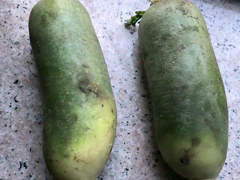 哈尔滨今年的秋菜真便宜，萝卜、白菜都5毛，大葱也是几毛钱，早市买了两个萝卜花了9
