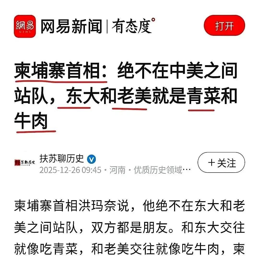 洪玛奈把中美说成青菜牛肉，听着像菜市场砍价，其实是小国在夹缝里找活路。去年六月