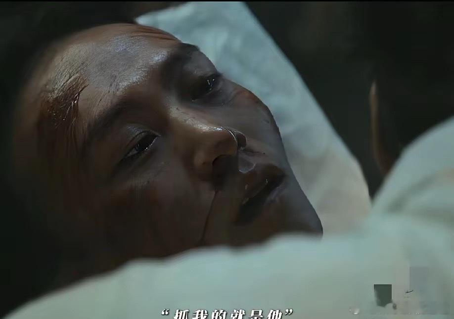 《生命树》原来张扬并不是替白菊死的，而是他暴露了，被凶手灭口。张扬和白菊去铜器厂