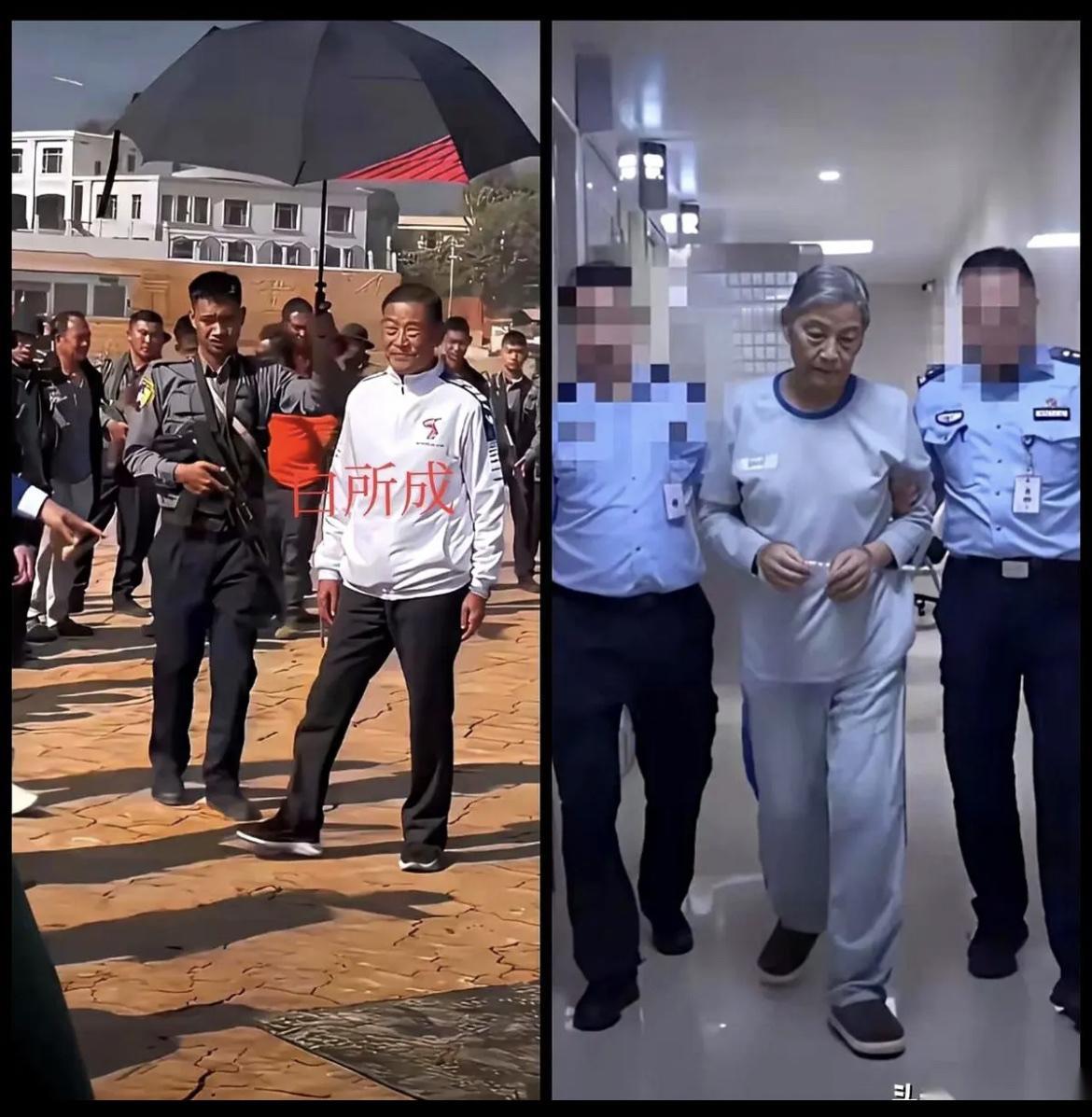 白所成，死刑。他二儿子白应苍，死刑。一个家族，咔嚓一下，递上来五份死刑判决，