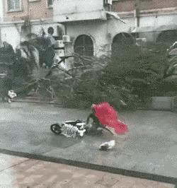 哪来的妖风这是哪位神仙姐姐在渡劫飞升上天吗？