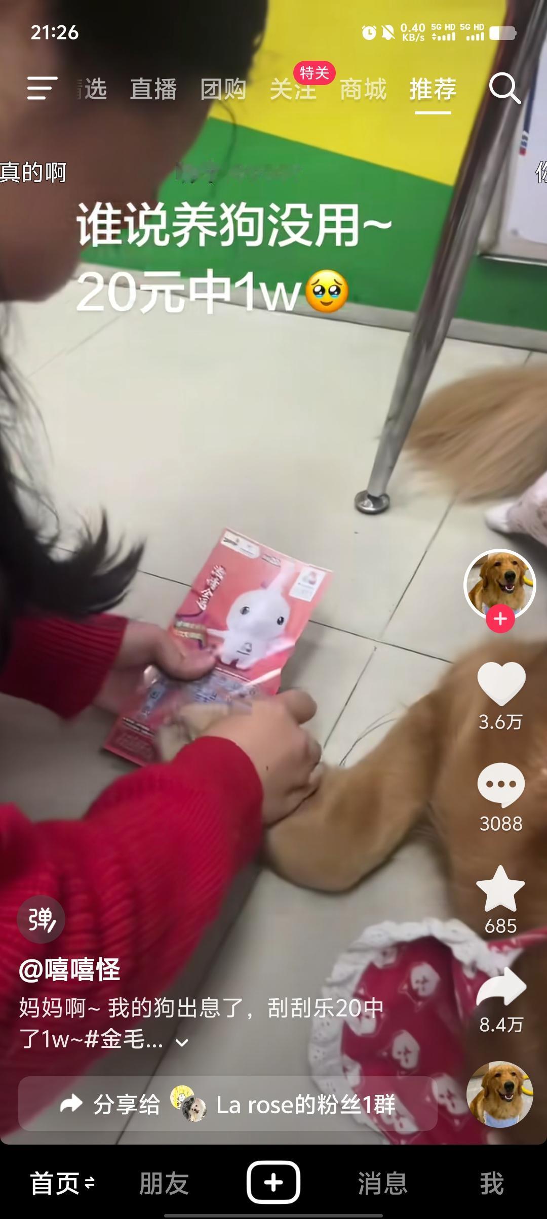 我的狗出息了，刮刮乐20中了1W~