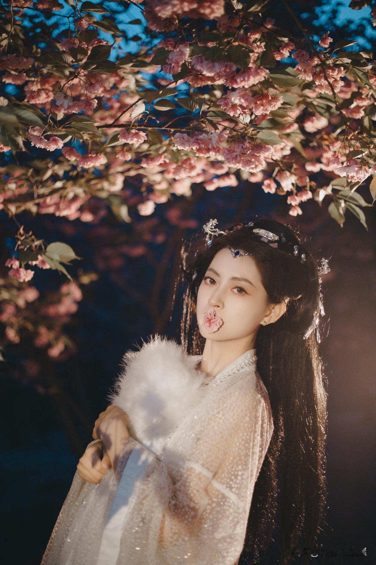 樱花树下，古风美人，唯美如画