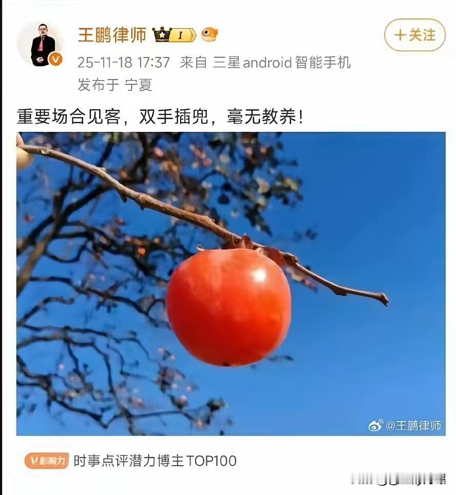 强烈建议，全网封杀这个“王鹏律师”，有关部门应立案调查，是中国人要强制进行爱国主