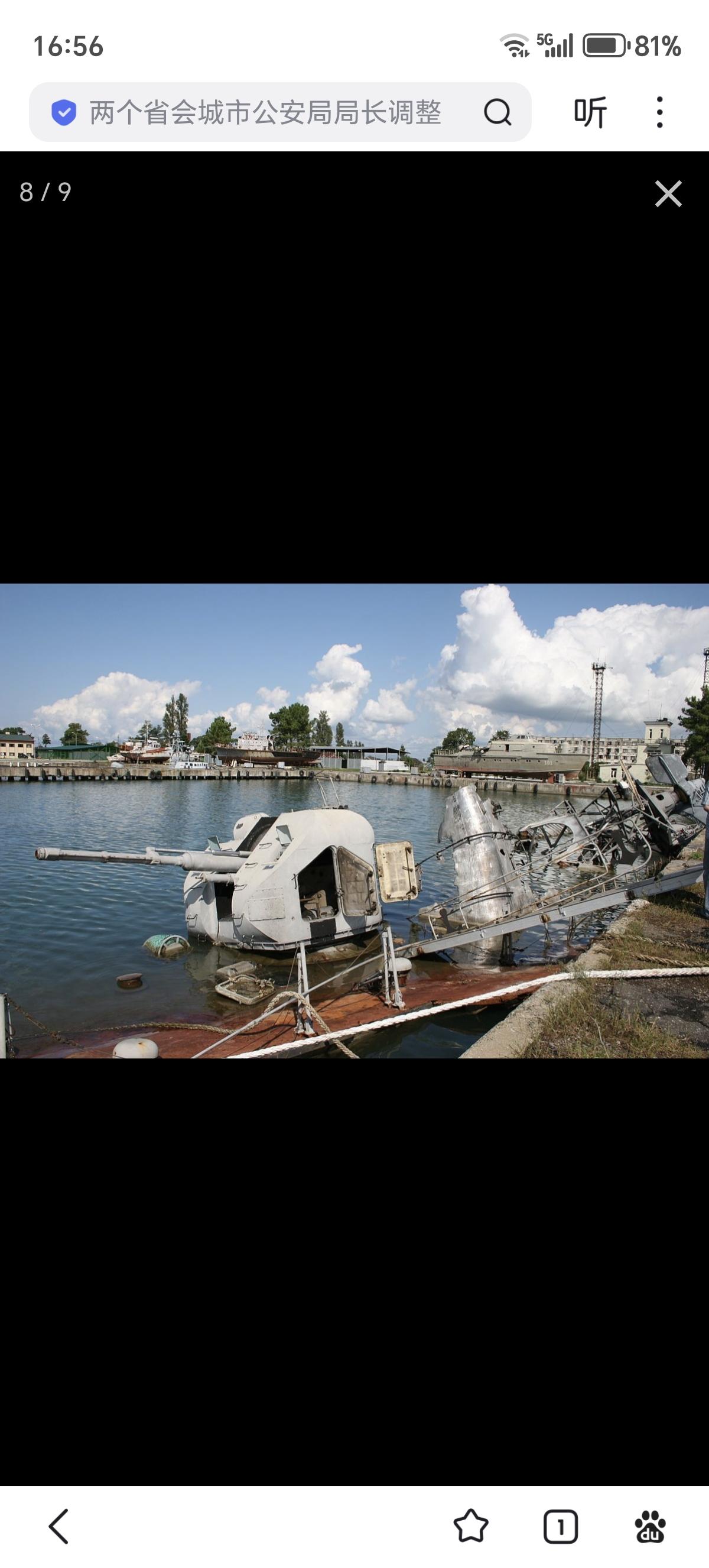 俄格战争中的格鲁吉亚海军在2008年，格鲁吉亚舰队拥有两艘导弹艇（尽管格鲁吉