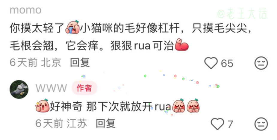原来小猫咪也会怕痒痒的