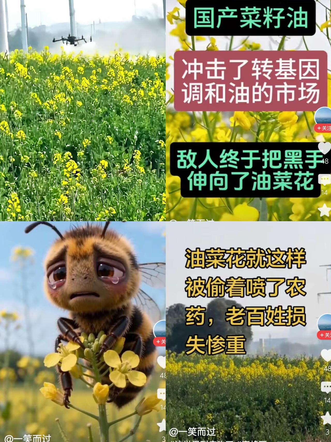 太痛心了！湖南油菜花花期乱打药这事，真的给所有基层工作人员敲了一记狠狠的警钟！