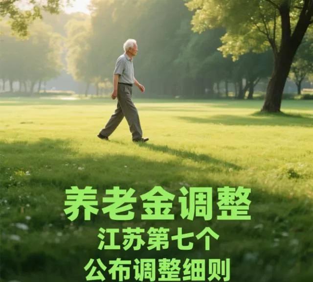第七个公布养老金调整细则的是江苏省，经济大省啊！每年的调整方案都非常到位，让其他