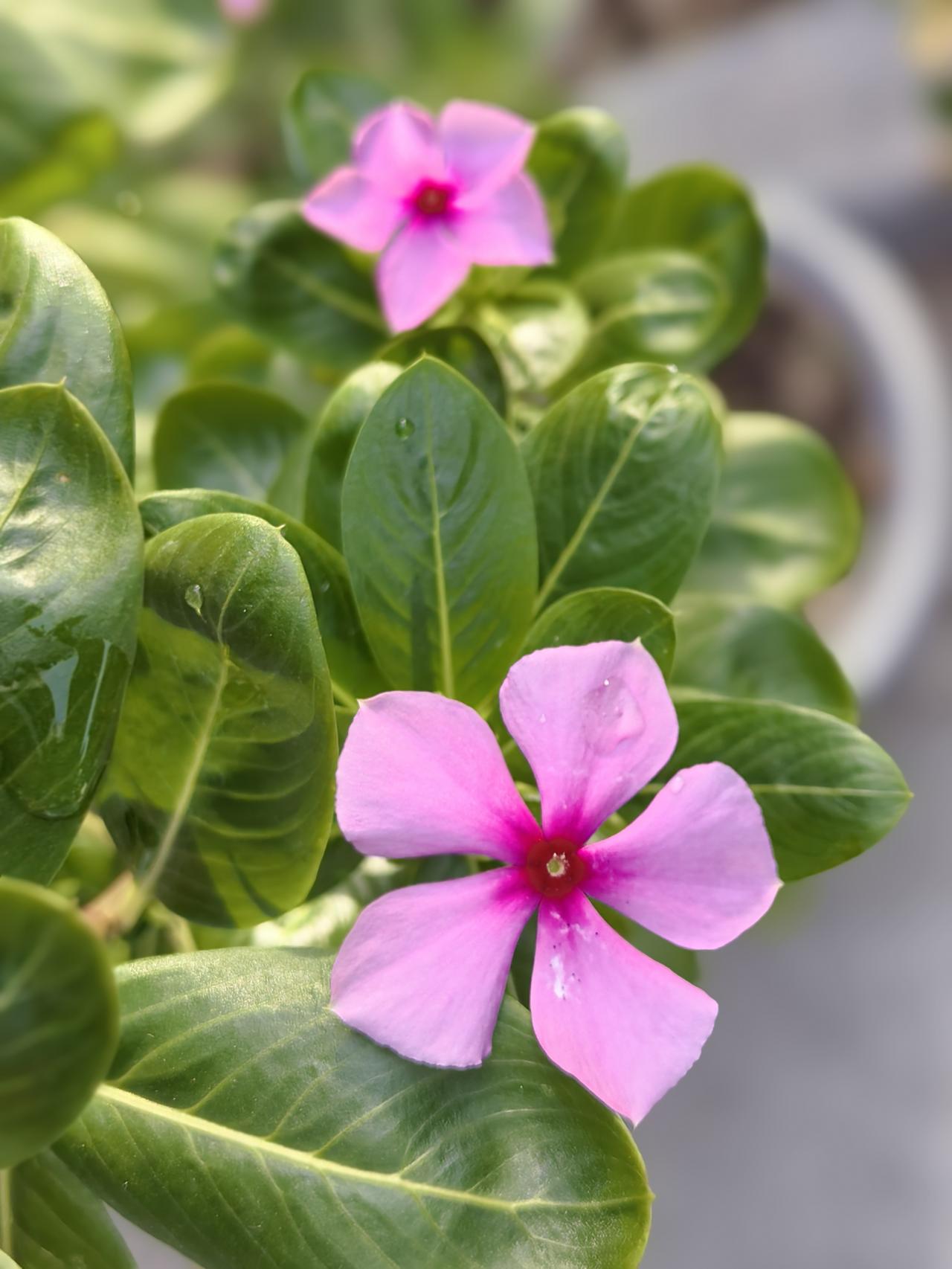 生不生二胎？我觉得生有生的好处，不生有不生的好处，都行。至于生出来是男孩女孩，